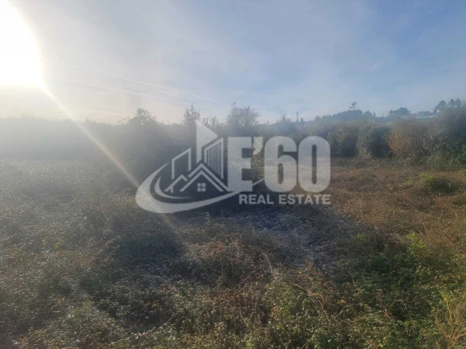 Quinta T6 para Venda em São João de Lourosa Foto 13