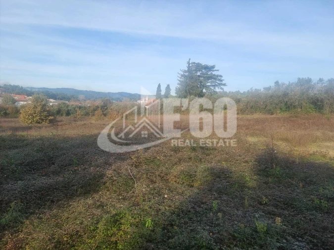 Quinta T6 para Venda em São João de Lourosa Foto 9