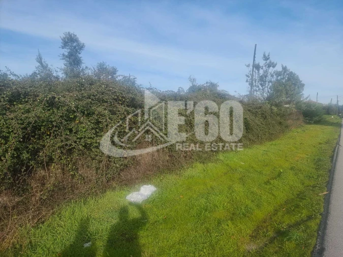 Quinta T6 para Venda em São João de Lourosa Foto 11