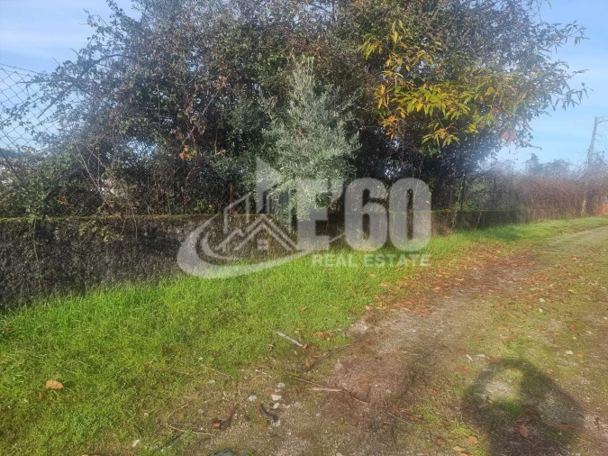 Quinta T6 para Venda em São João de Lourosa Foto 20