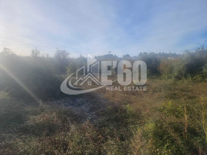 Quinta T6 para Venda em São João de Lourosa Foto 16