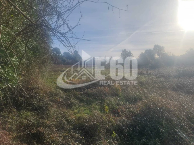 Quinta T6 para Venda em São João de Lourosa Foto 19