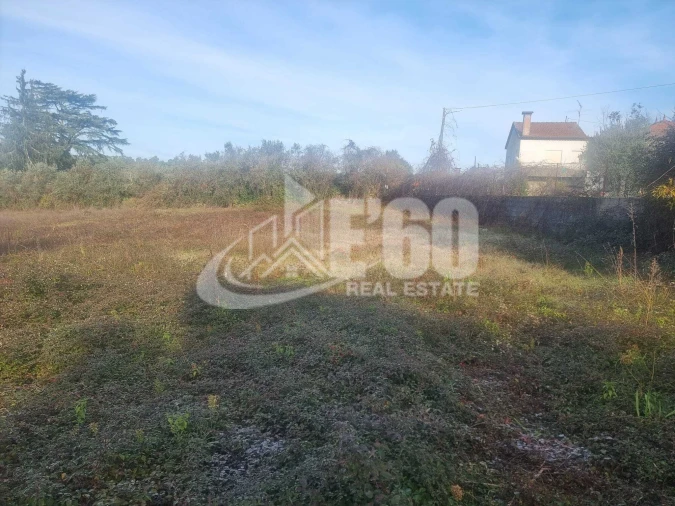 Quinta T6 para Venda em São João de Lourosa Foto 17