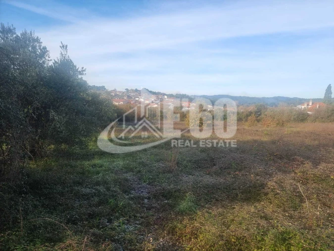 Quinta T6 para Venda em São João de Lourosa Foto 10