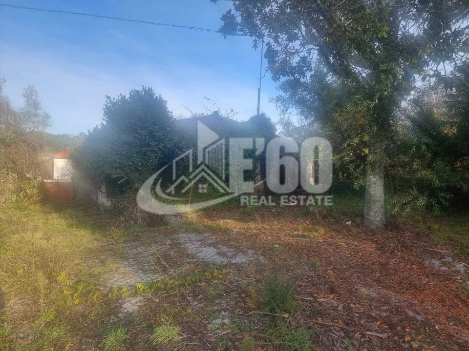 Quinta T6 para Venda em São João de Lourosa Foto 18