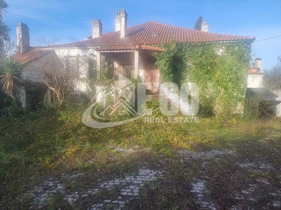 Quinta T6 para Venda em São João de Lourosa Foto 1