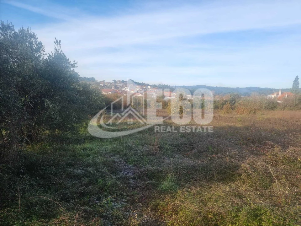 Quinta T6 para Venda em São João de Lourosa Foto 10