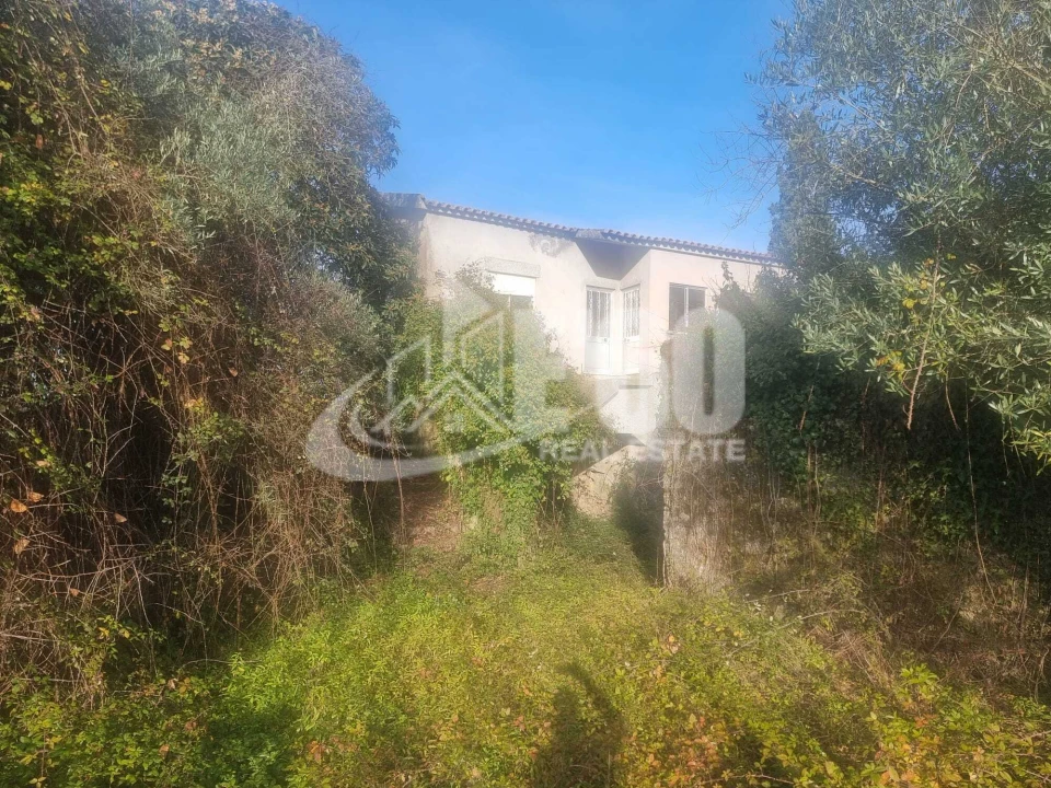 Quinta T6 para Venda em São João de Lourosa Foto 4