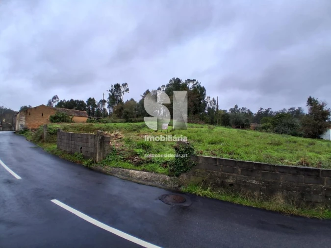 Terreno para Venda em São João de Loure e Frossos Foto 3