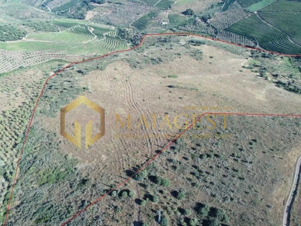 Terreno para Venda em Freixo de Espada a Cinta e Mazouco Foto 5