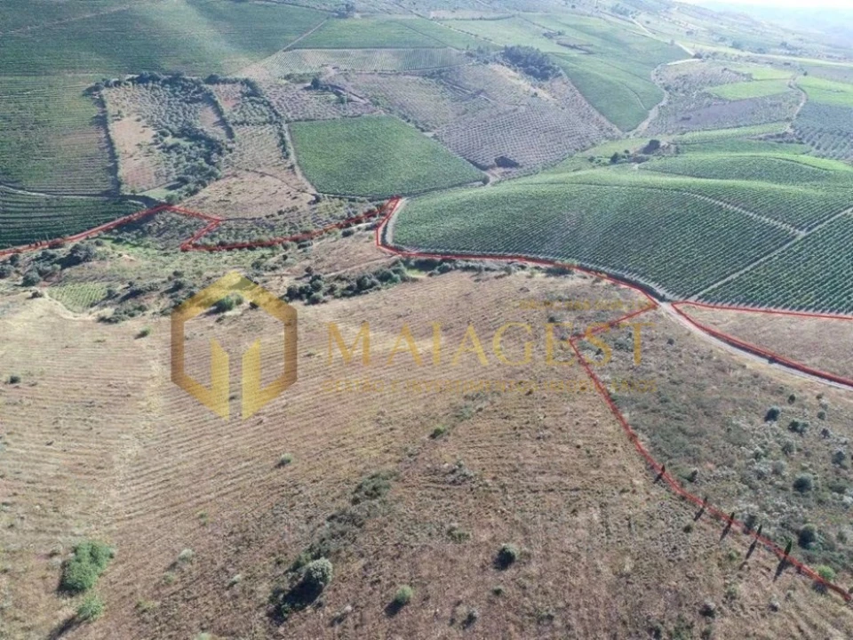 Terreno para Venda em Freixo de Espada a Cinta e Mazouco Foto 7