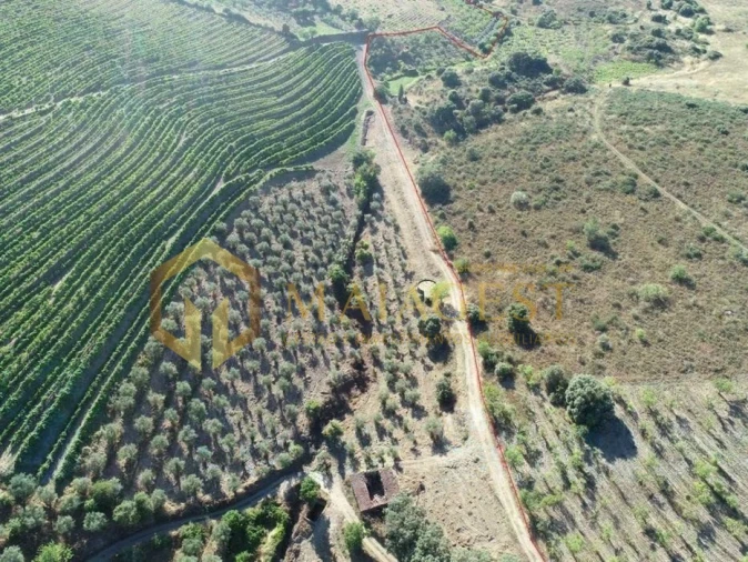 Terreno para Venda em Freixo de Espada a Cinta e Mazouco Foto 2