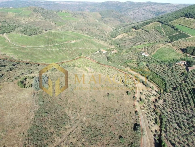 Terreno para Venda em Freixo de Espada a Cinta e Mazouco Foto 4