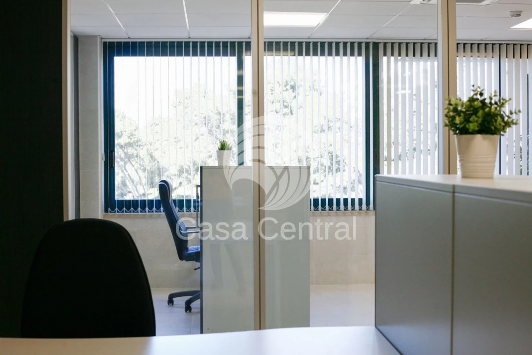 Loja para Arrendamento em Cascais e Estoril Foto 19