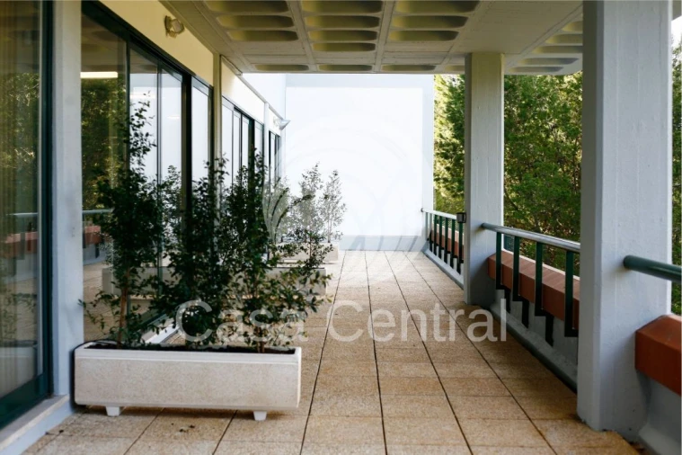 Loja para Arrendamento em Cascais e Estoril Foto 5