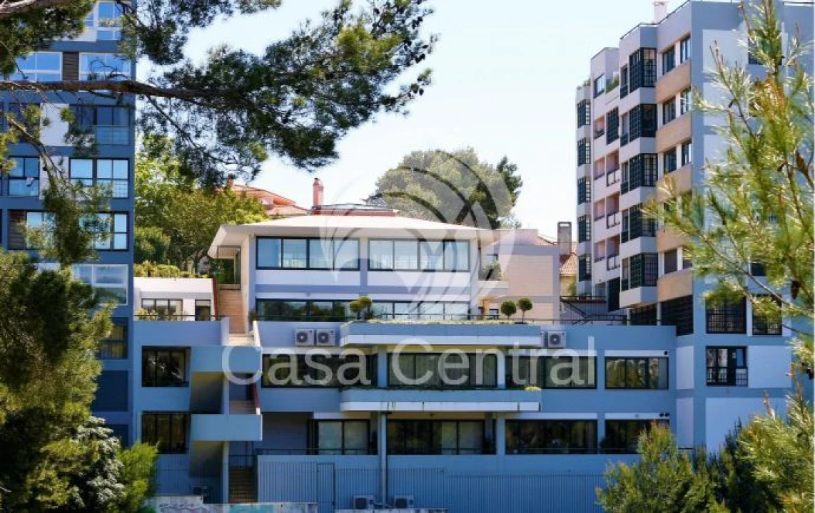 Loja para Arrendamento em Cascais e Estoril Foto 2