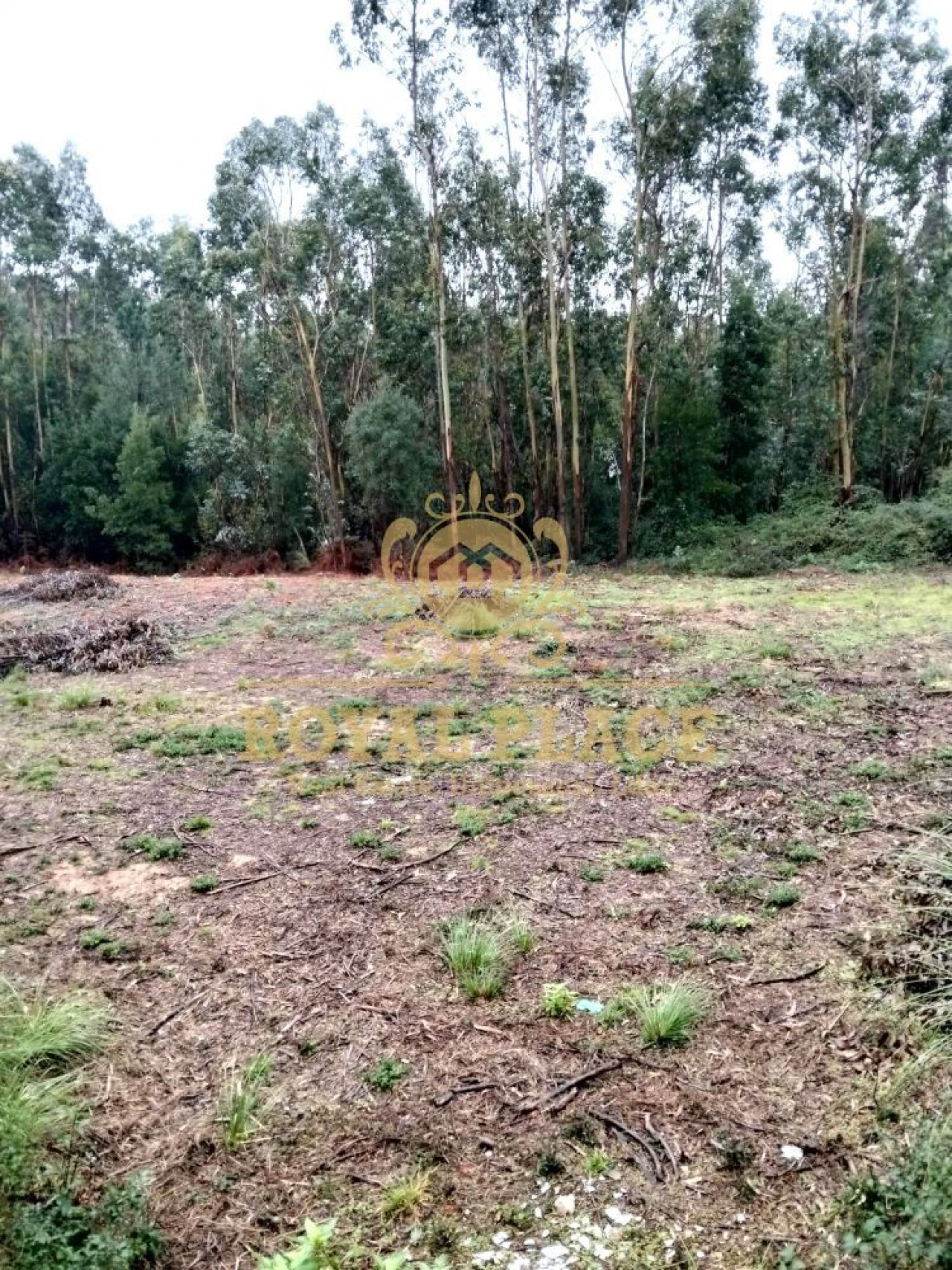 Terreno para Venda em Santa Maria da Feira, Travanca, Sanfins e Espargo Foto 4