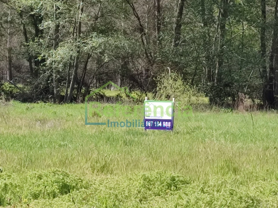 Terreno para Venda em Santa Maria Maior Foto 1