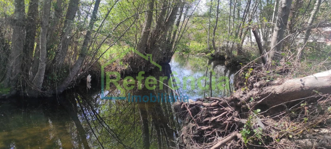 Terreno para Venda em Santa Maria Maior Foto 9
