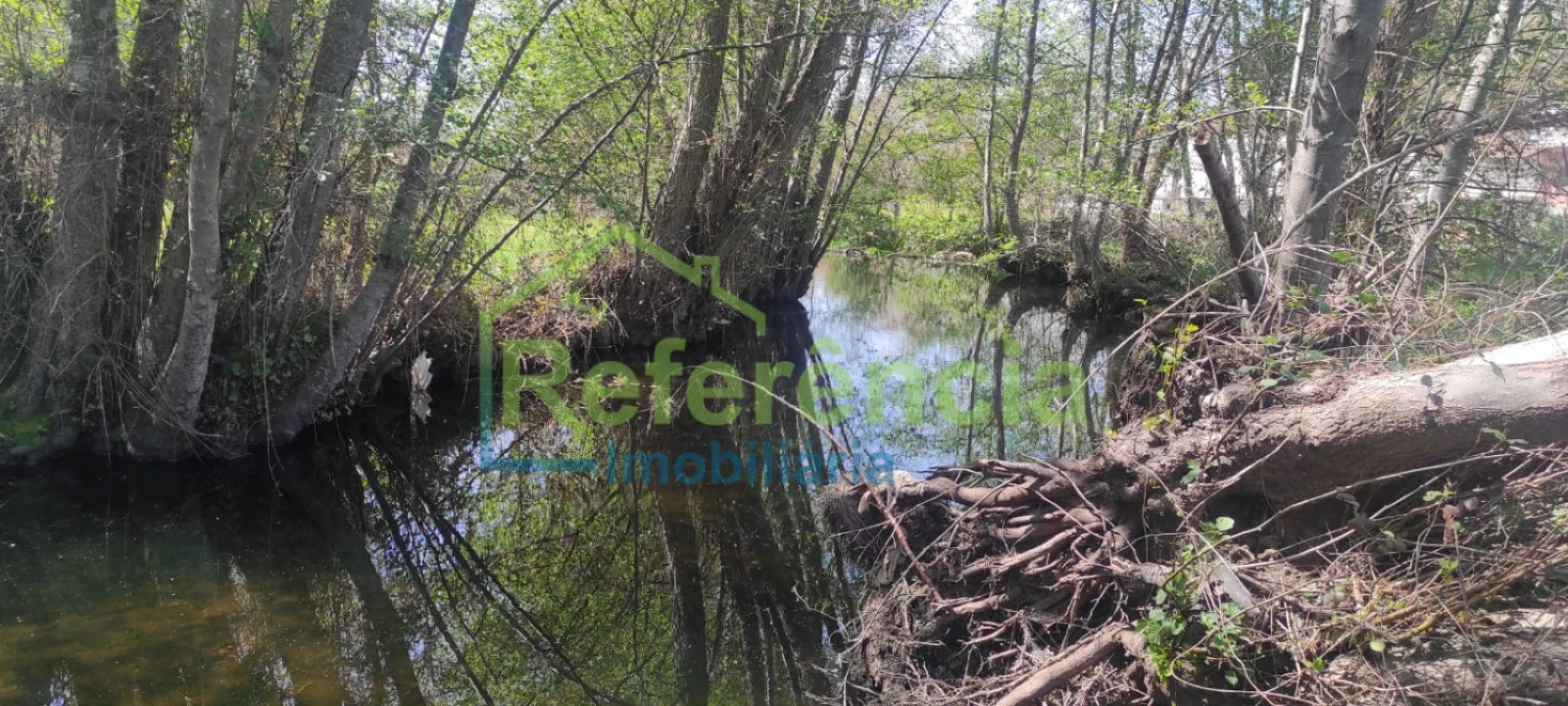 Terreno para Venda em Santa Maria Maior Foto 9