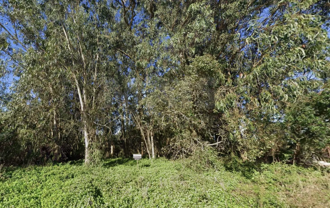 Terreno para Venda em Cela Foto 3