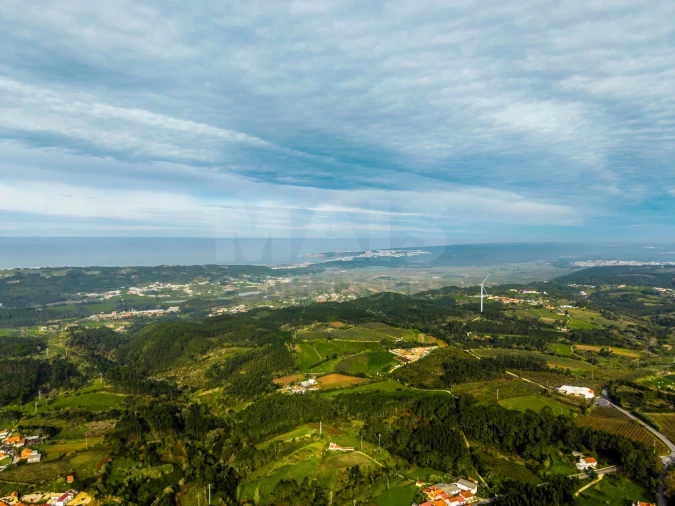 Terreno para Venda em Cela Foto 11