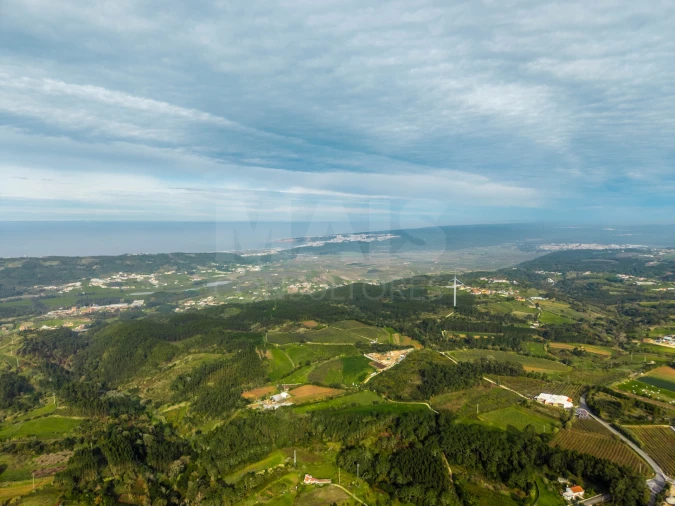 Terreno para Venda em Cela Foto 3