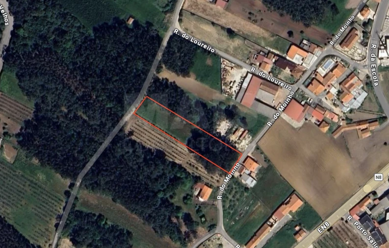 Terreno para Venda em Cela Foto 1