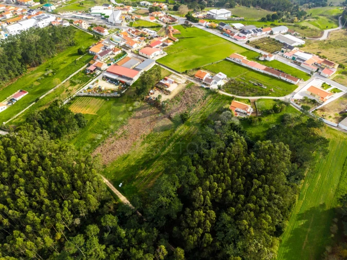 Terreno para Venda em Cela Foto 6