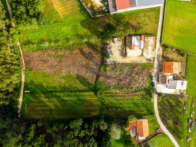 Terreno para Venda em Cela Foto 8