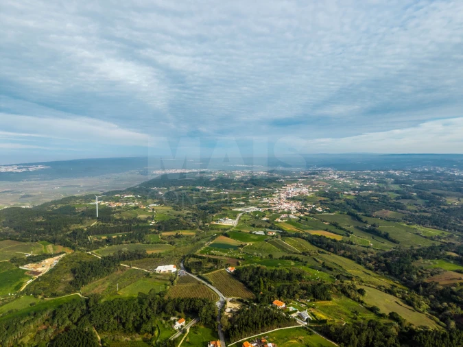 Terreno para Venda em Cela Foto 4