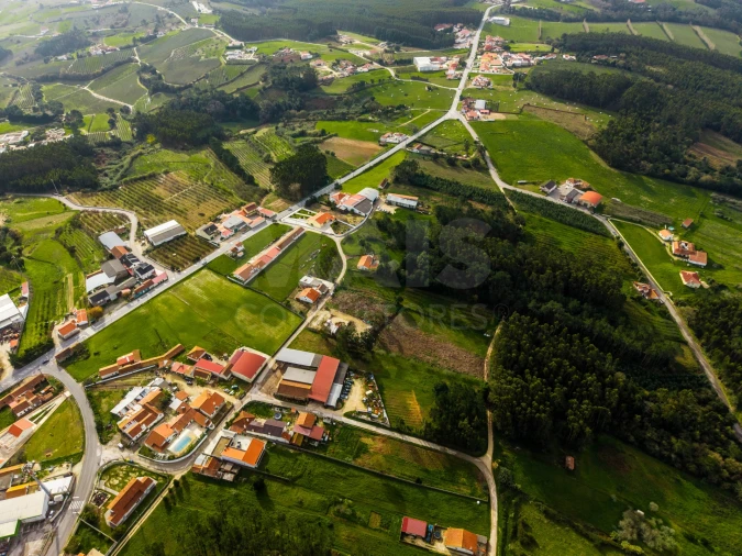 Terreno para Venda em Cela Foto 10