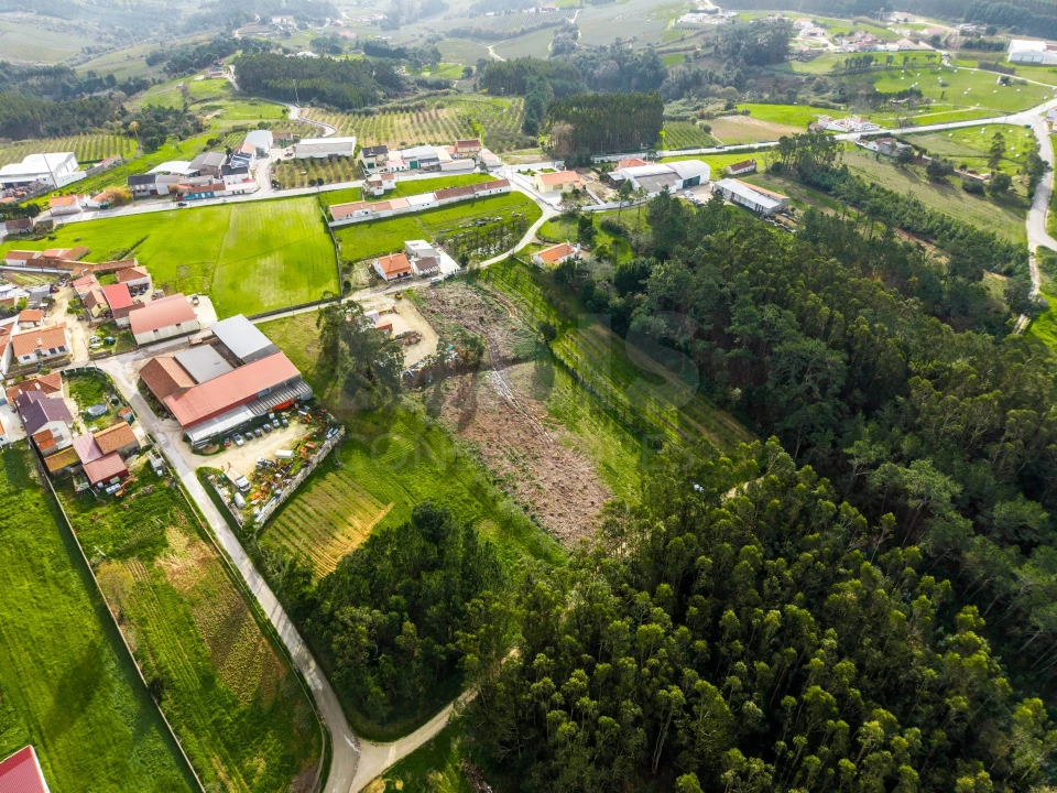Terreno para Venda em Cela Foto 1
