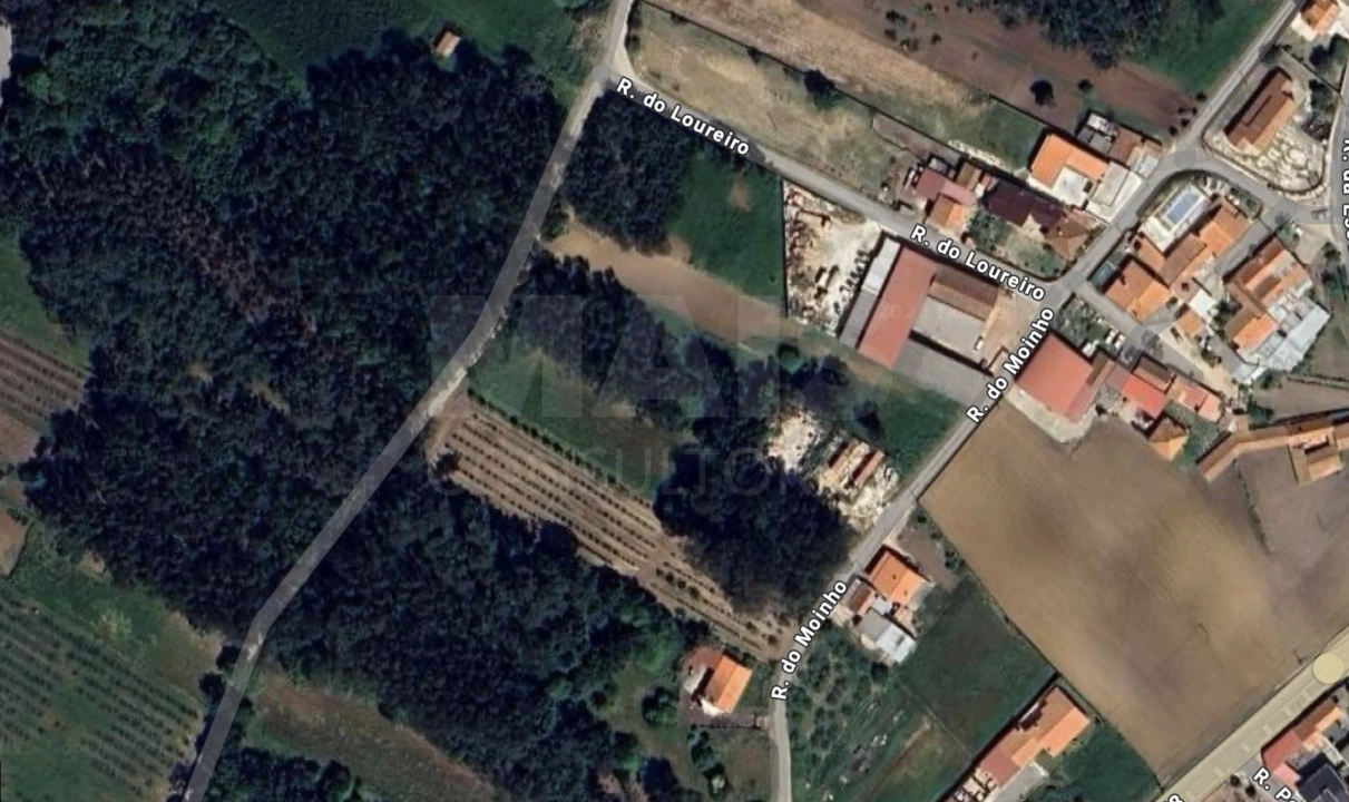 Terreno para Venda em Cela Foto 4