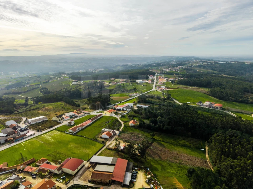 Terreno para Venda em Cela Foto 9
