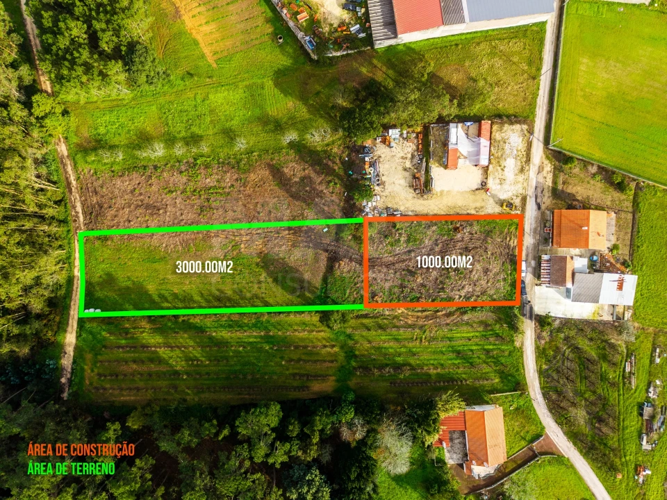 Terreno para Venda em Cela Foto 2