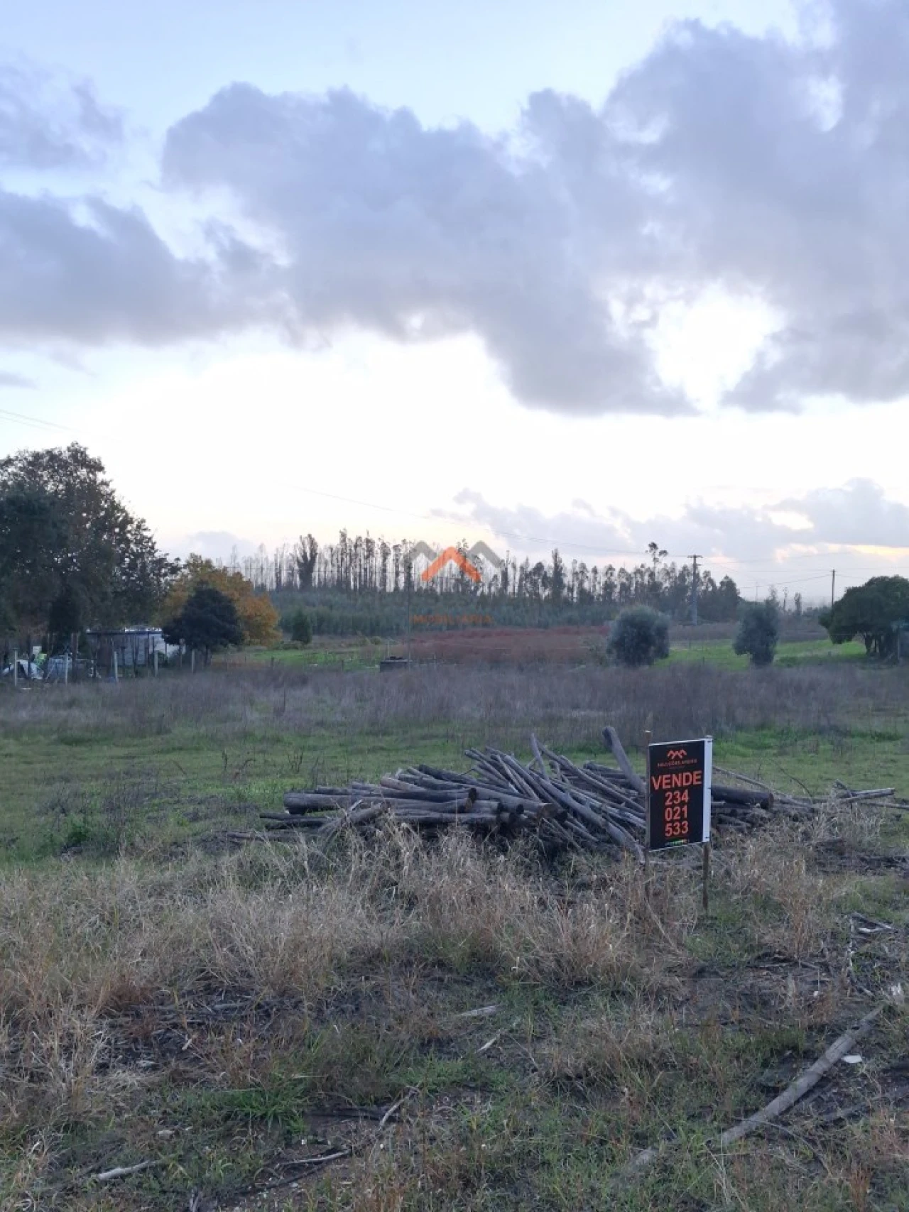 Terreno para Venda em Valongo do Vouga Foto 4