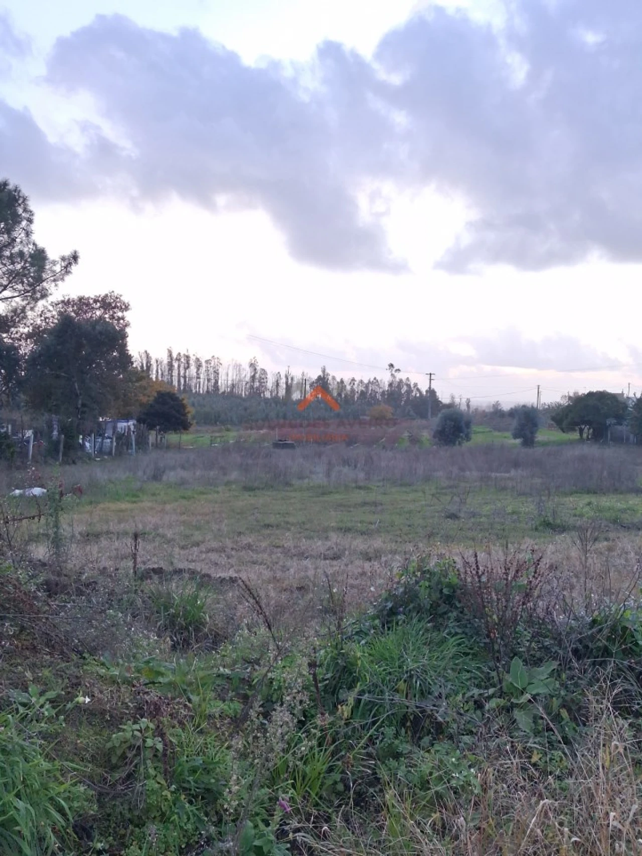Terreno para Venda em Valongo do Vouga Foto 5