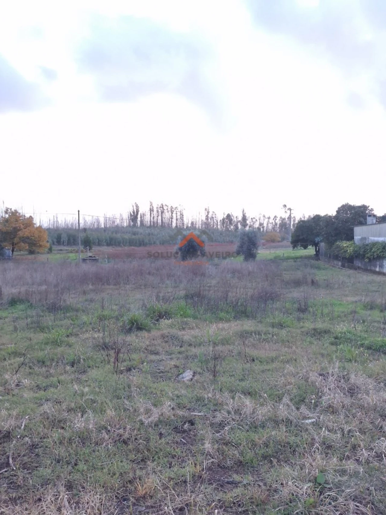 Terreno para Venda em Valongo do Vouga Foto 10
