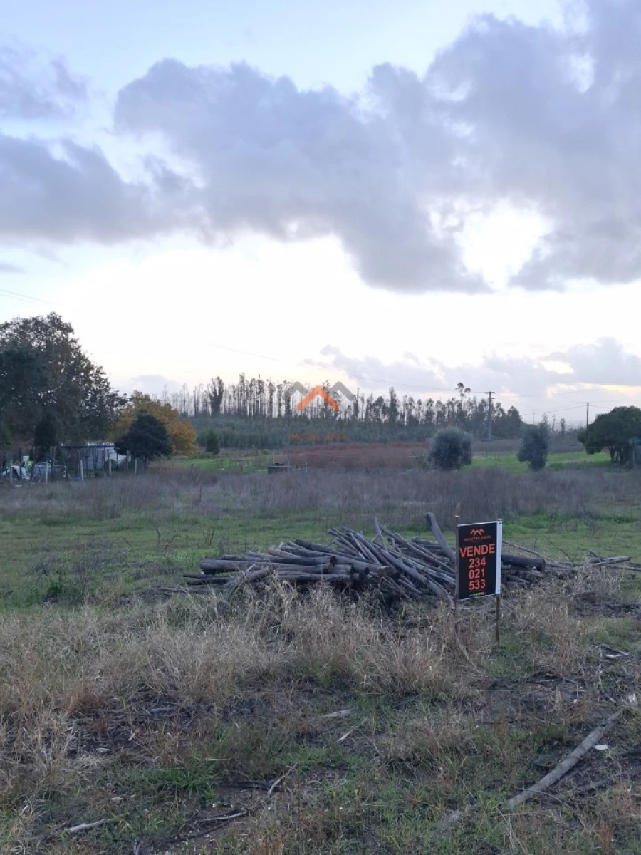 Terreno para Venda em Valongo do Vouga Foto 4