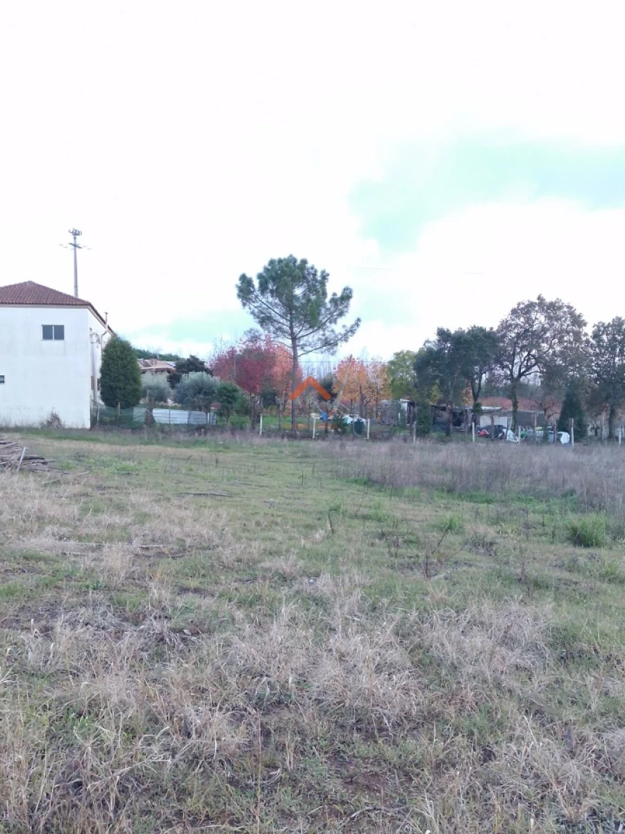 Terreno para Venda em Valongo do Vouga Foto 8