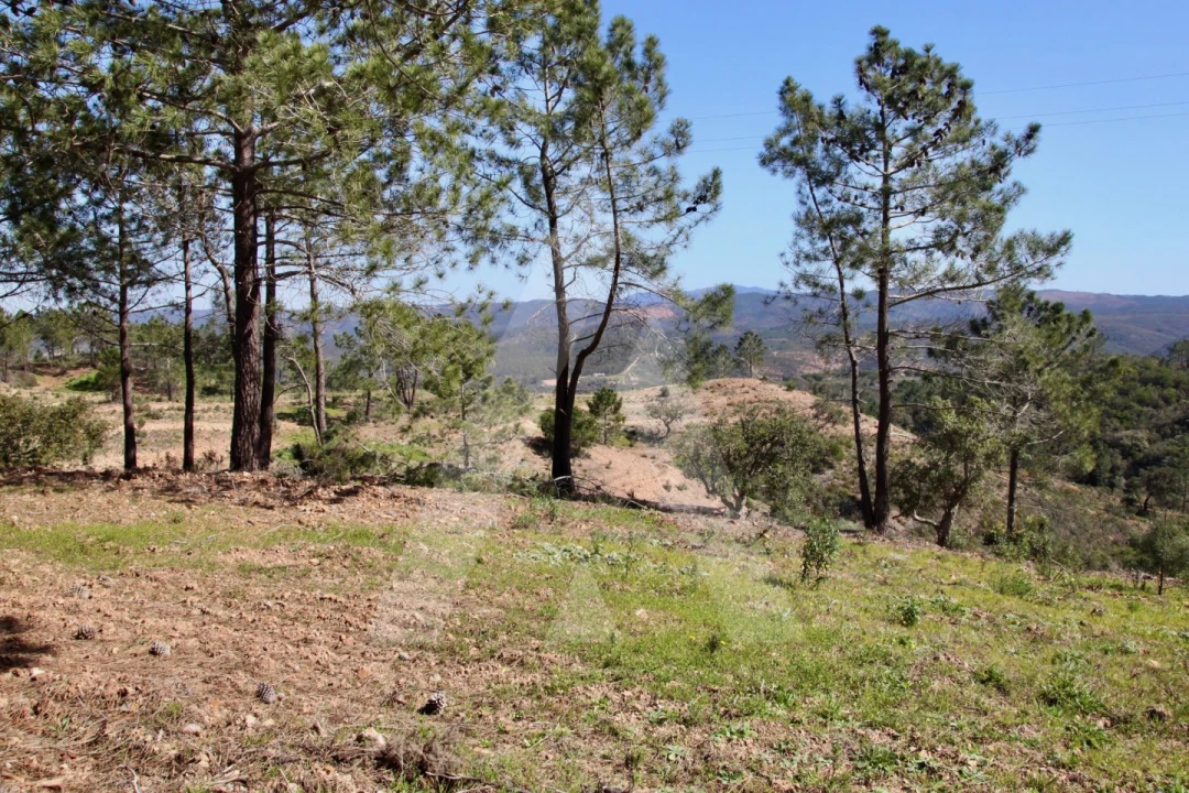 Terreno Misto para Venda em Aljezur Foto 24
