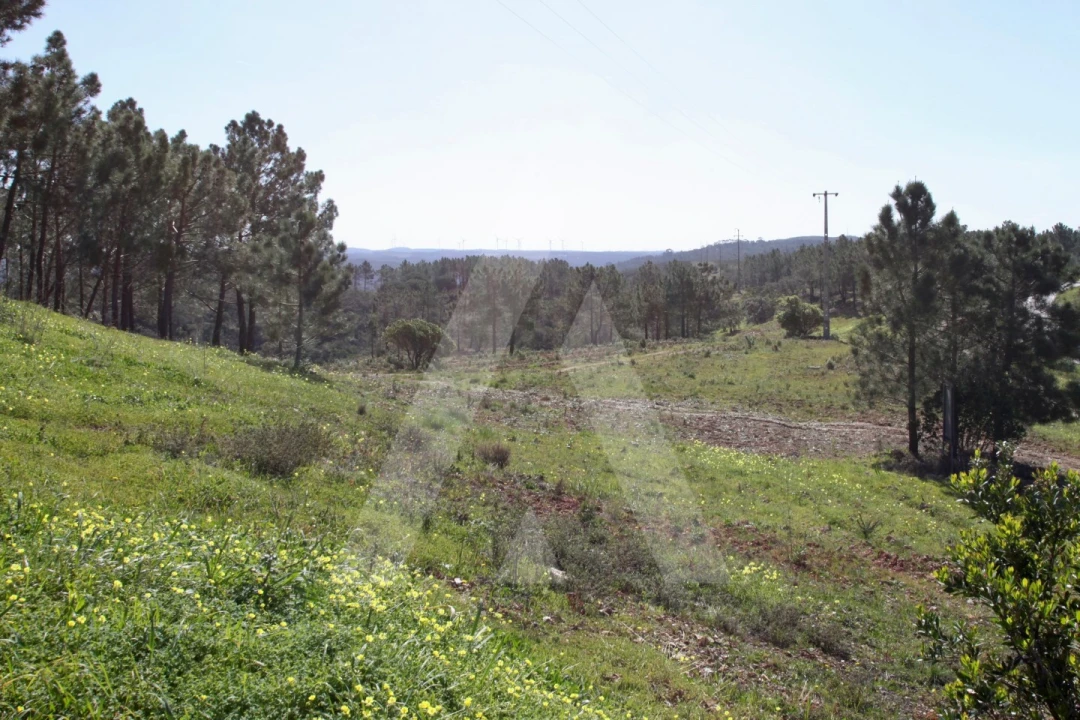 Terreno Misto para Venda em Aljezur Foto 27