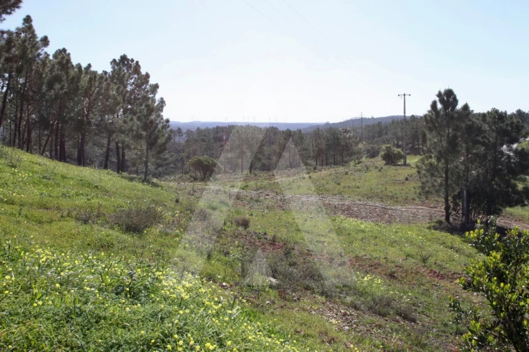Terreno Misto para Venda em Aljezur Foto 27