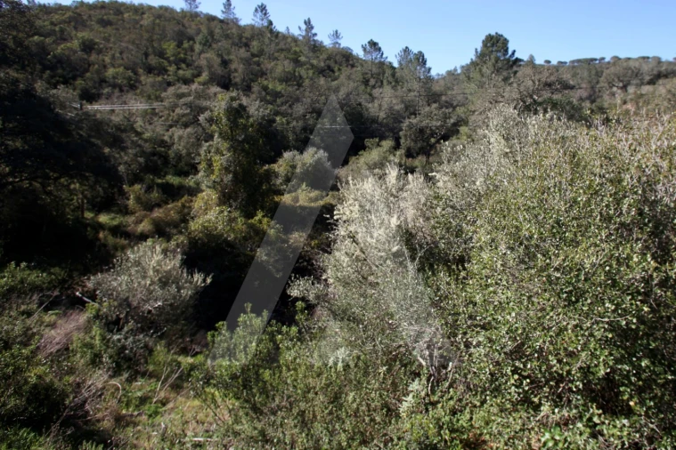 Terreno Misto para Venda em Aljezur Foto 28