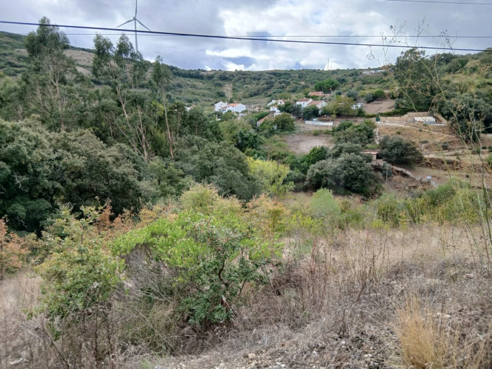 Terreno para Venda em Arranho Foto 6