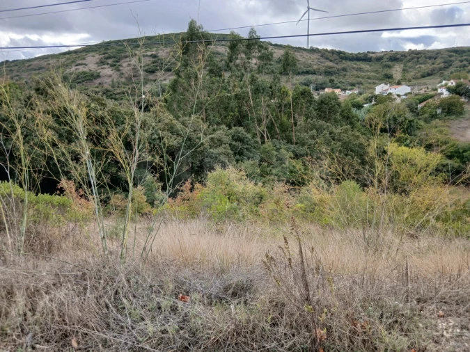 Terreno para Venda em Arranho Foto 7