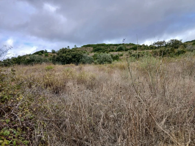 Terreno para Venda em Arranho Foto 8