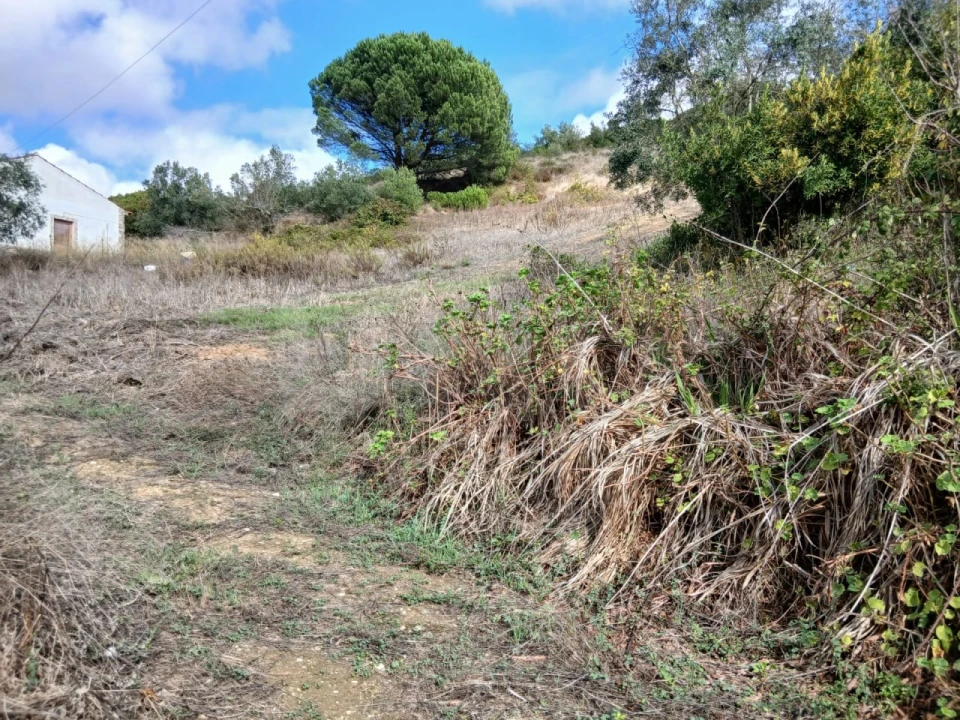 Terreno para Venda em Arranho Foto 11