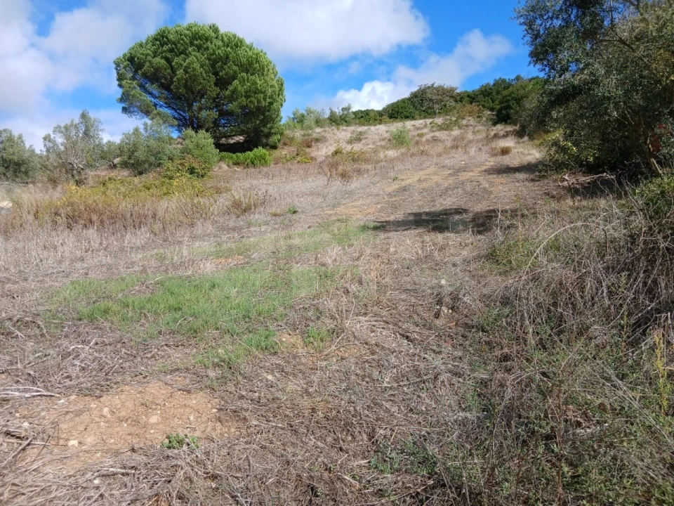 Terreno para Venda em Arranho Foto 12